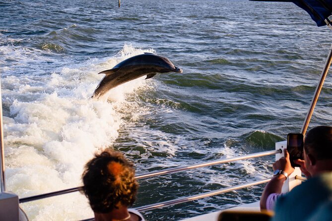 Dolphin and Shelling Cruise Tour at Fort Myers Beach - Dolphins beside the boat, not in a tank