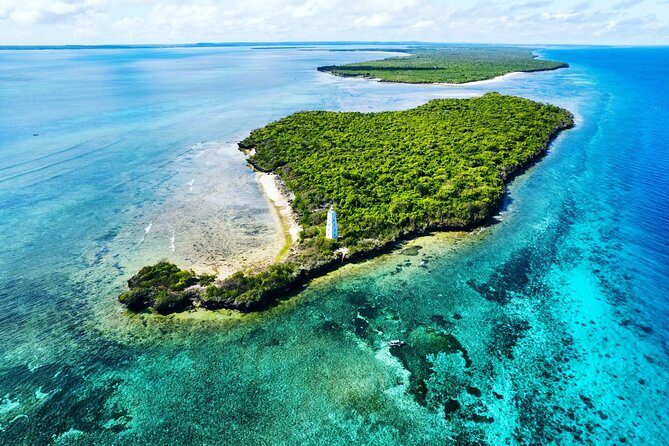 Dolphin and Tumbatu Island Snorkeling Tour with Pickup - Key points to know before booking