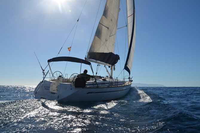 Dolphin and Whale Sailing Tour in Los Gigantes - Key points to know before you book