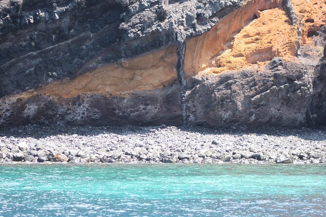 Dolphin and Whale Sailing Tour in Los Gigantes - Pilot whales, dolphins, and realistic wildlife watching