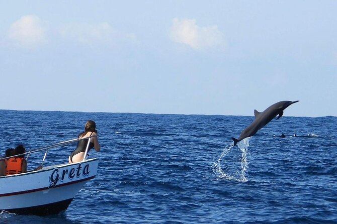 Dolphin and Whale Watching Boat Trip in Puerto Escondido - Key points before you book