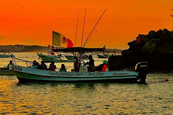 Dolphin and Whale Watching Boat Trip in Puerto Escondido - Out on the water: dolphins are the main event