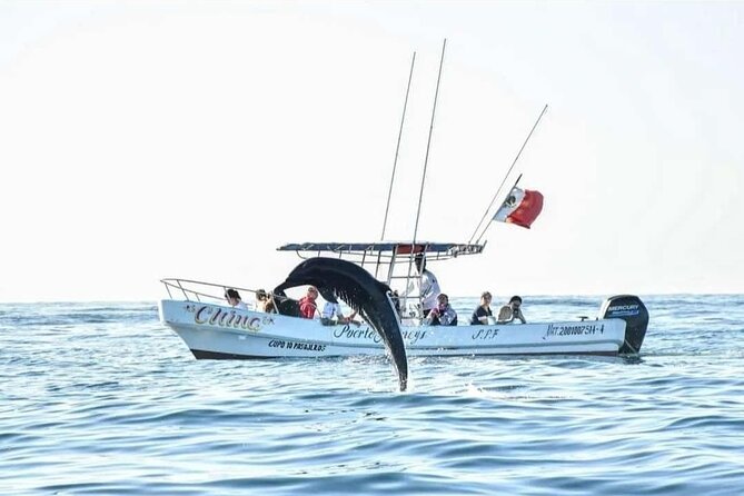 Dolphin and Whale Watching Boat Trip in Puerto Escondido - Is $56.79 a fair price?