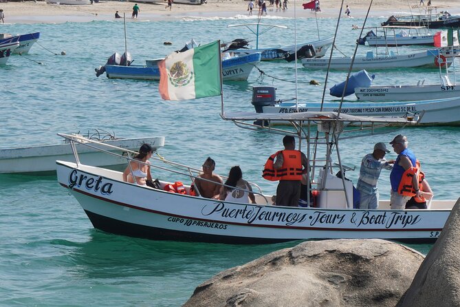Dolphin and Whale Watching Boat Trip in Puerto Escondido - A 7:00 am start and an easy hotel pickup