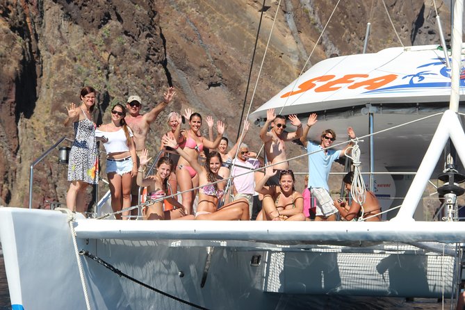 Dolphin and Whale Watching Catamaran Cruise from Funchal - What three hours really includes