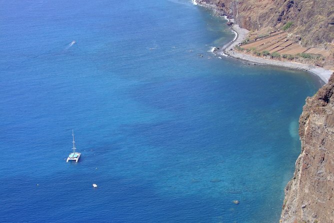 Dolphin and Whale Watching Catamaran Cruise from Funchal - Weather, cancellation, and the practical details