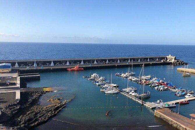 Dolphin and Whale Watching in La Restinga - Is $54.17 a fair price?