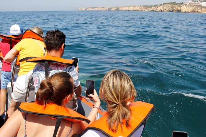 Dolphin and Whale Watching in Lagos - The real wildlife tradeoff
