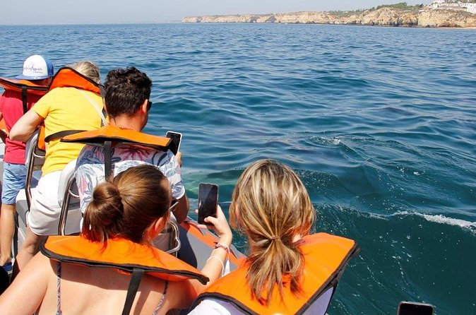 Dolphin and Whale Watching in Lagos - Is the experience good value?