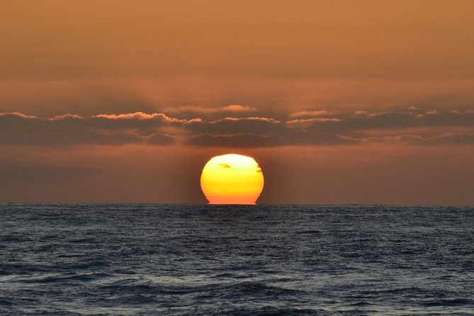 Dolphin and Whale Watching Sunset Cruise - FAQ