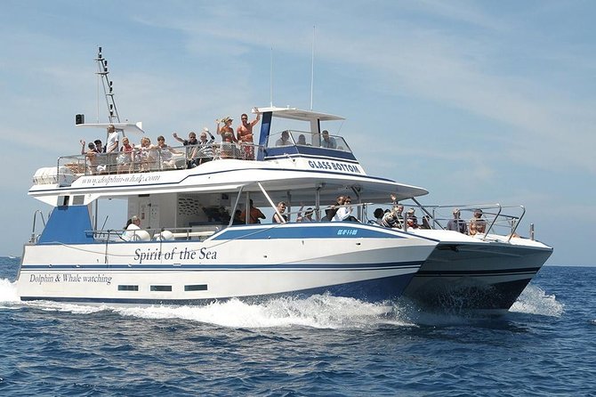 Dolphin and Whales watching cruise from Puerto Rico de Gran Canaria - Watching from the deck and through the glass bottom