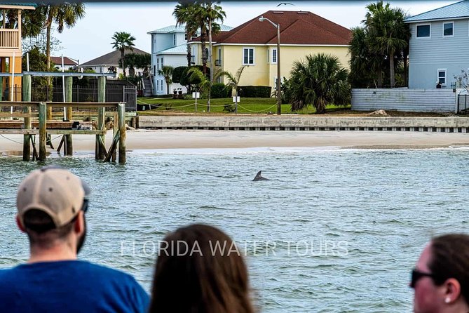 Dolphin and Wildlife Adventure of St. Augustine - What the 90 minutes feel like