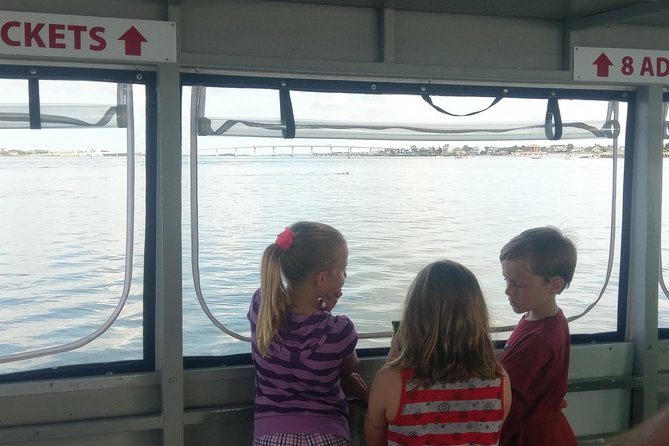Dolphin and Wildlife Adventure of St. Augustine - Why the $29 price works