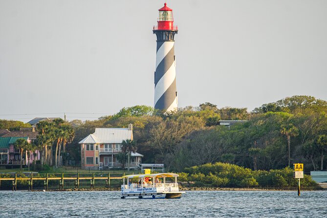 Dolphin and Wildlife History Tour - Is $29 a good value for one hour?