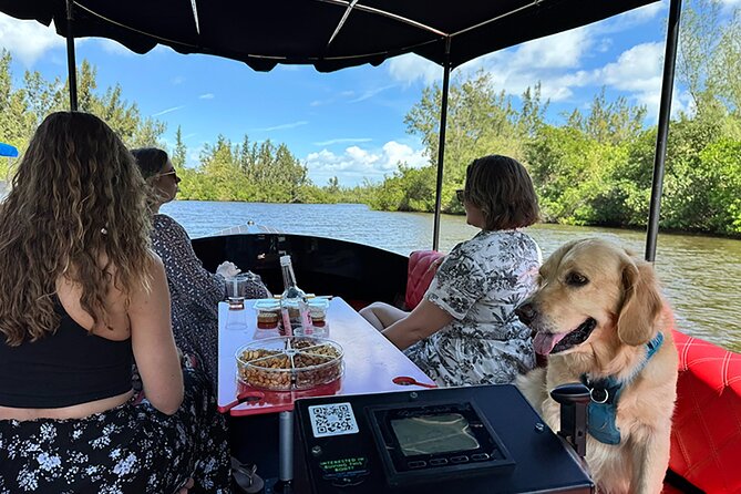Dolphin Boat Tour in Vero Beach - From Vero Tackle & Watersports to the water