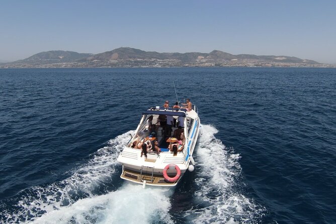 Dolphin Boat Trip in Benalmadena - The chance of a baby dolphin