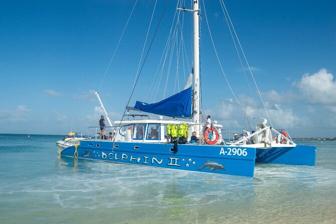 Dolphin Catamaran Snorkel and Sail with Open Bar - Is $69 a fair price?