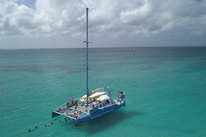 Dolphin Catamaran Snorkel and Sail with Open Bar - Who will enjoy The Dolphin most?
