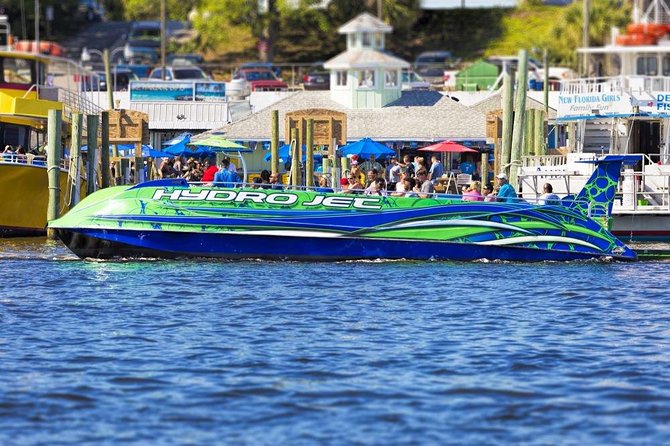 Dolphin Cruise in Destin FL - Why the dolphin search feels different here