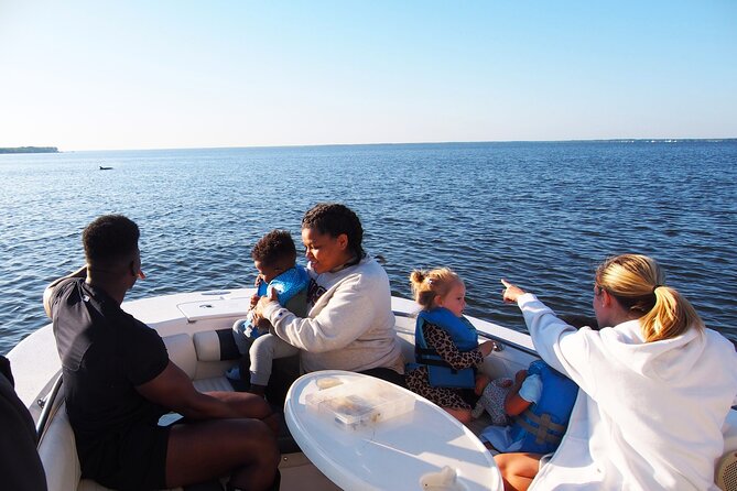 Dolphin cruise in Santa Rosa Beach - Why this Choctawhatchee Bay cruise feels different