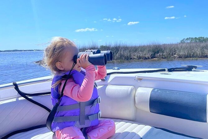Dolphin cruise in Santa Rosa Beach - Why the private format is worth considering