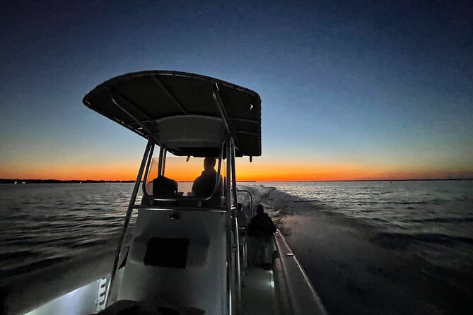 Dolphin cruise in Santa Rosa Beach - What to bring and how to plan the day