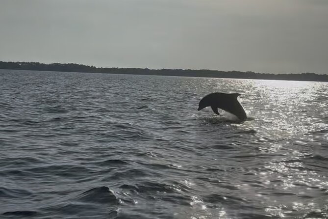 Dolphin cruise in Santa Rosa Beach - Meeting Captain Ian at 97 Hog Town Bayou Lane