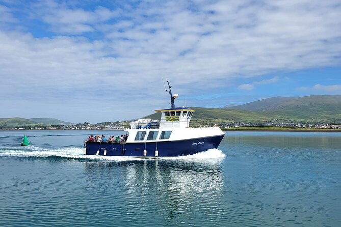 Dolphin Discovery Eco Tour - Seabirds add interest between animal sightings