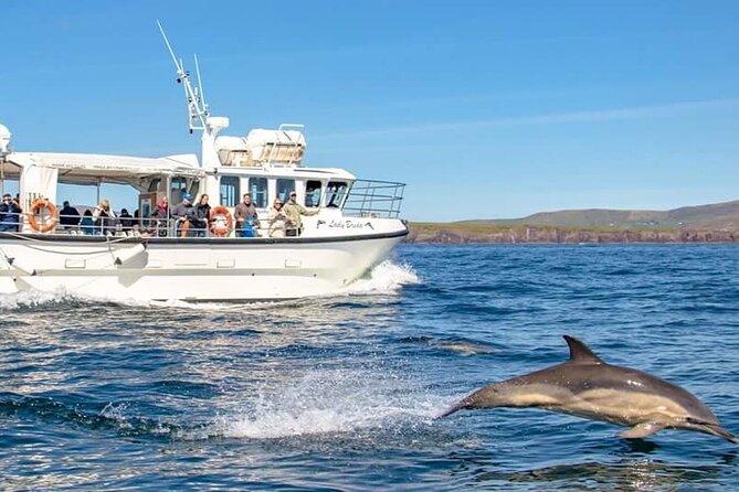 Dolphin Discovery Eco Tour - The 350-million-year-old sandstone cliffs