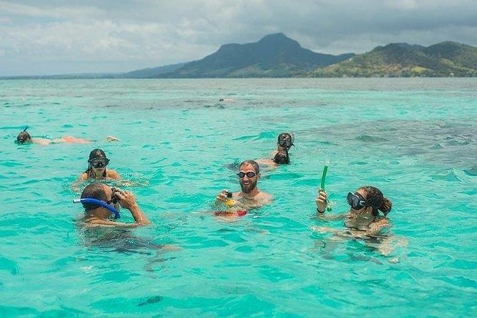 Dolphin Encounters, Ile aux Benitier & Crystal rock: Full-Day (Lunch & Transfer) - Marine-life ethics and what to expect