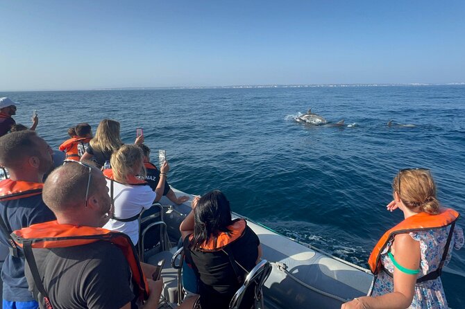 Dolphin Expedition Shared Speedboat tour with Biologist guide - Portimão Museum and the São Francisco ruins