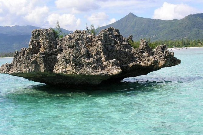 Dolphin Experience in Open Sea and South West Tour of Mauritius including Lunch - Why this Mauritius day trip works