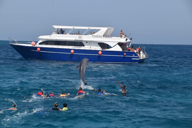 Dolphin House and Banana Boat Fun from Hurghada - Key points before you book