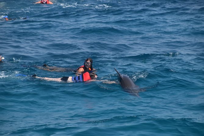Dolphin House and Banana Boat Fun from Hurghada - Searching for dolphins in their natural home