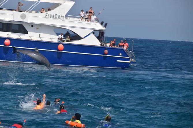 Dolphin House and Banana Boat Fun from Hurghada - Snorkeling the Red Sea reefs