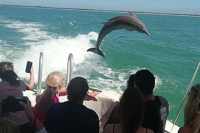 Dolphin House By Private Speed Boat & Drinks & Transfer-Hurghada - Leaving Hurghada at 8:00 am