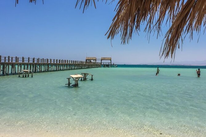 Dolphin House By Private Speedboat With Giftun Island _ Hurghada - A fast ride from Hurghada to the islands