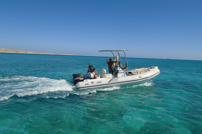 Dolphin House By Private Speedboat With Giftun Island _ Hurghada - Dolphin watching: a chance, not a promise