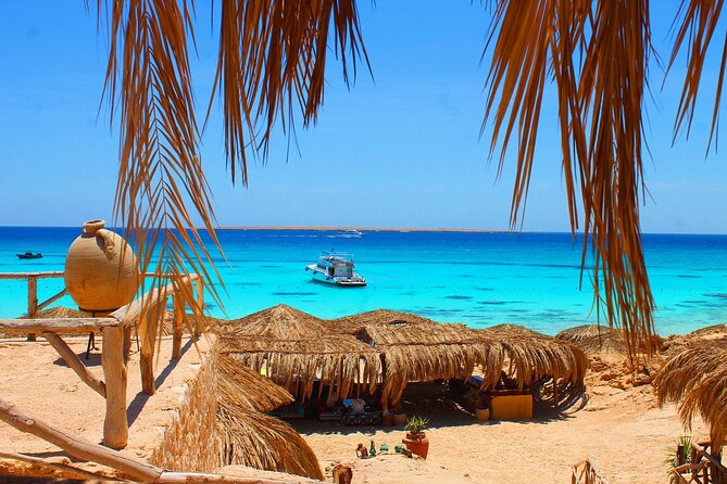 Dolphin House By Private Speedboat With Giftun Island _ Hurghada - Snorkeling over the Red Sea reef