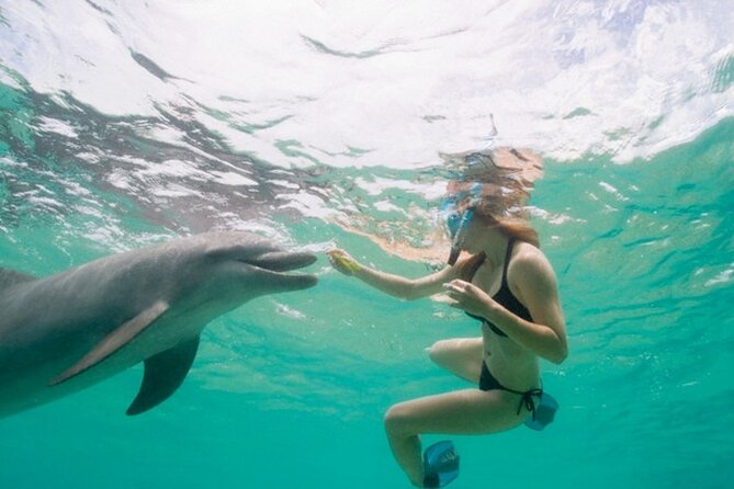 Dolphin House Cruise with water sports and Lunch in Hurghada - Setting out from Hurghada at 8:30 am