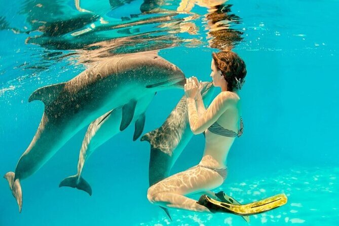Dolphin House Cruise with water sports and Lunch in Hurghada - The Red Sea ride to Dolphin House