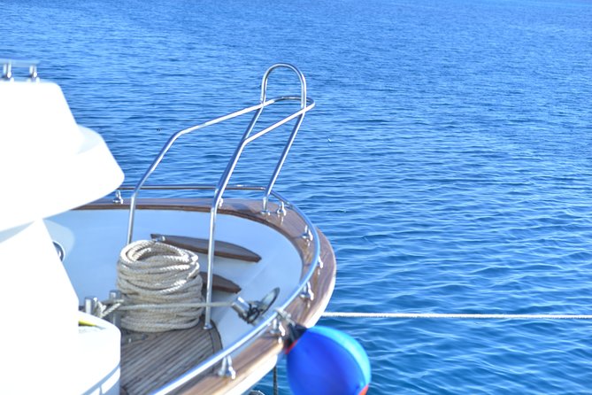 Dolphin House Reef Snorkeling Sea Trip With Transfer - Marsa Alam - The real value of the $52 price