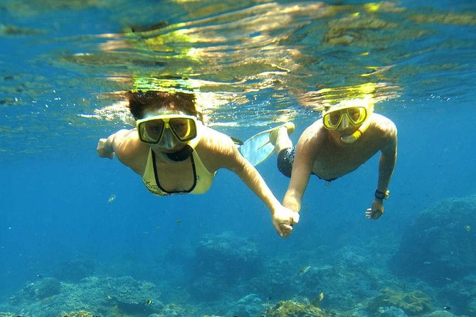 Dolphin House Royal sea Trip Luxury Boat With Transfer - Hurghada - Setting out from Hurghada at 8:00 am