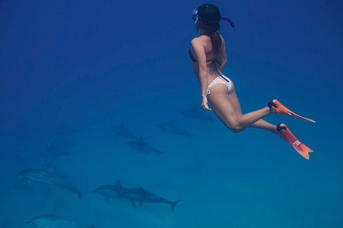 Dolphin House Royal VIP Special Day Snorkeling Sea Trip With Lunch - Hurghada - Two guided snorkeling stops on the reef