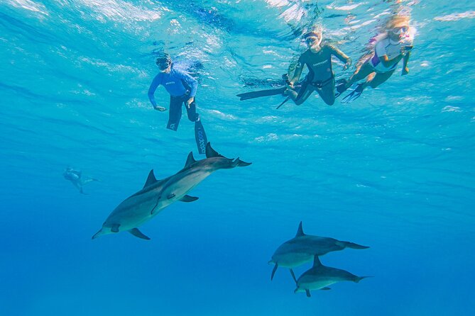 Dolphin House Samadai Reef Boat Snorkeling Trip from Marsa Alam - Reaching Shaab Samadai from Marsa Alam