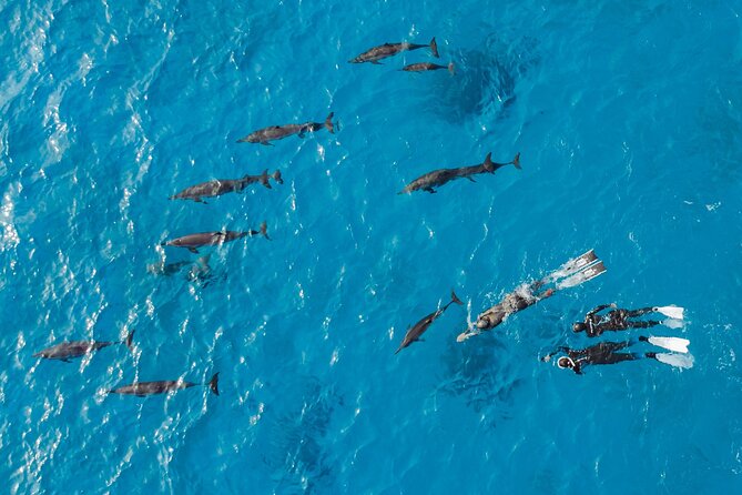 Dolphin House Samadai Reef Boat Snorkeling Trip from Marsa Alam - Lunch at 2:00 pm on the boat