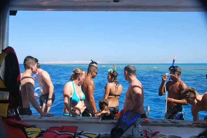 Dolphin House sea trip - Key points at a glance