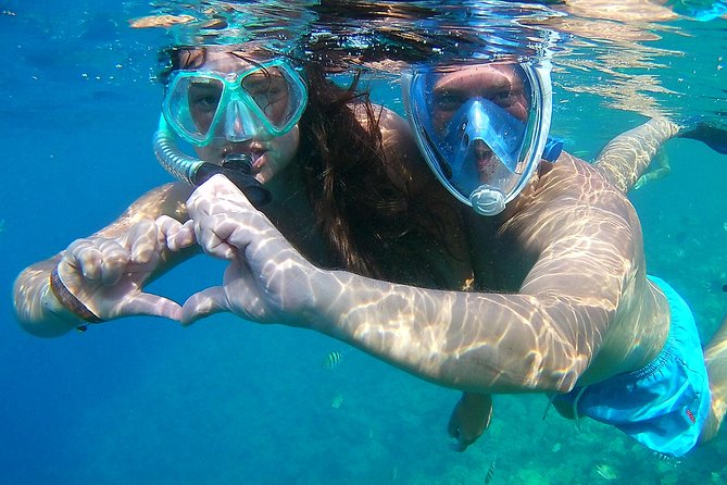 Dolphin House Sea Trip with Snorkeling Adventure - Marsa Alam - Swimming near wild dolphins
