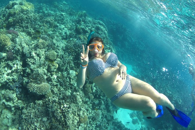 Dolphin House Sea Trip with Snorkeling Adventure - Marsa Alam - Lunch, drinks, and time on deck