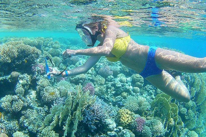 Dolphin House Sea Trip with Snorkeling Adventure - Marsa Alam - Practical details before you book